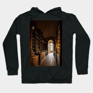 Apothecary Shop Render - Medieval Scene Hoodie